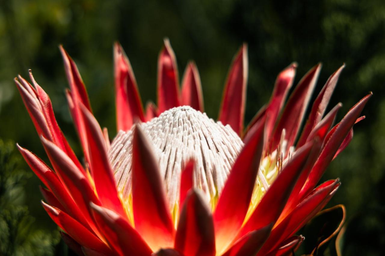 Highlandsview Villa Swellendam Bagian luar foto