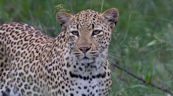 Highlandsview Villa Swellendam Bagian luar foto